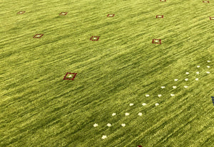 Hand-Woven Loribaft Gabbeh Rug