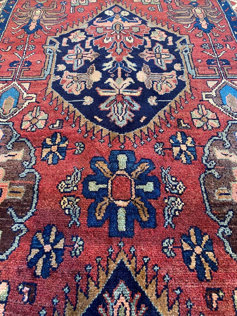 Afghani Rugs vs Persian Rugs: A Complete Comparison Guide