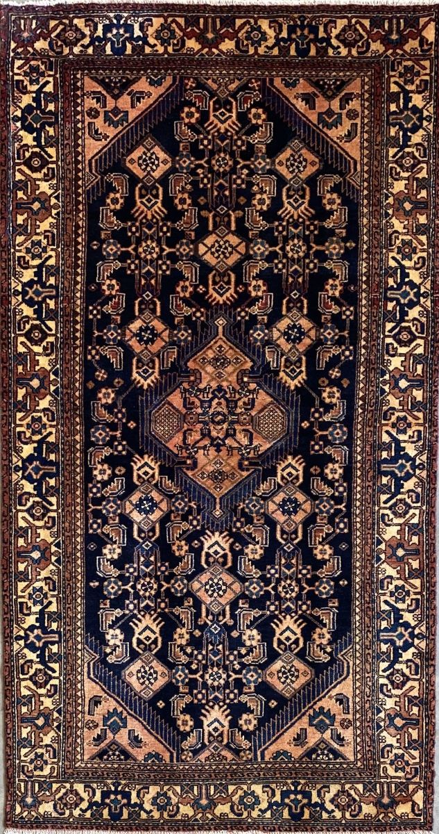Hand-Knotted Tribal Persian Toyserkan Rug