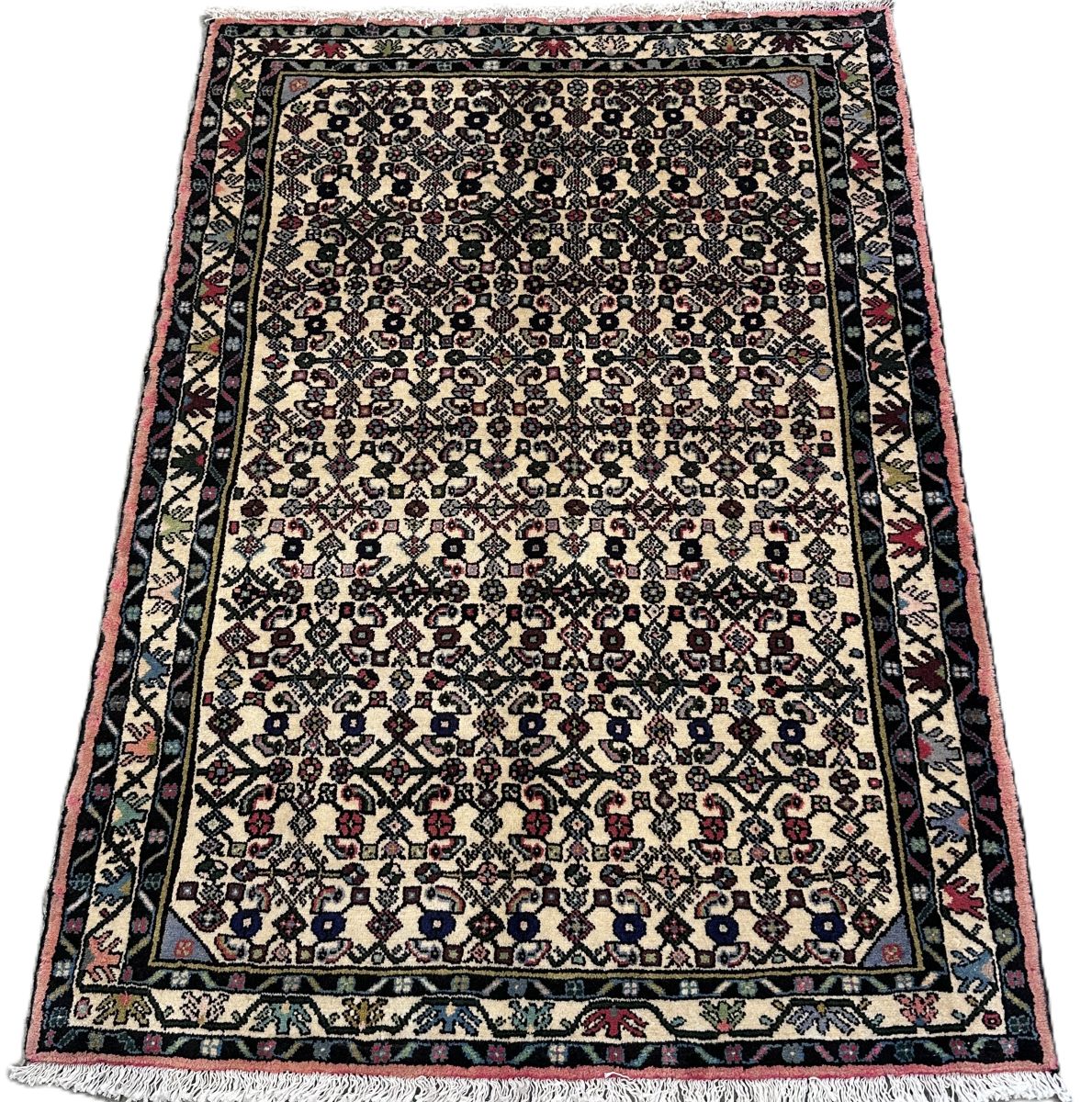 Hand-Knotted Tribal Persian Enjelas Rug